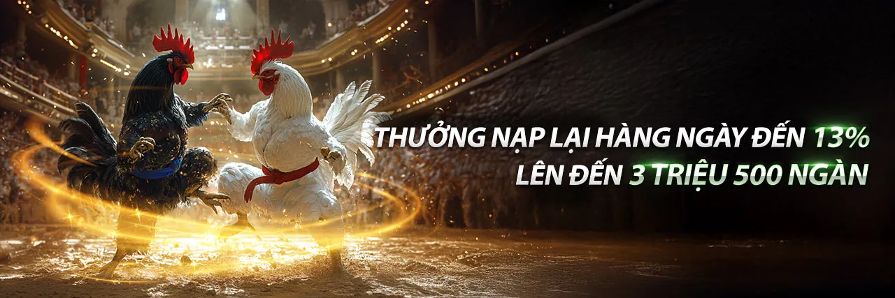 Hình ảnh chính về ứng dụng mk88 code