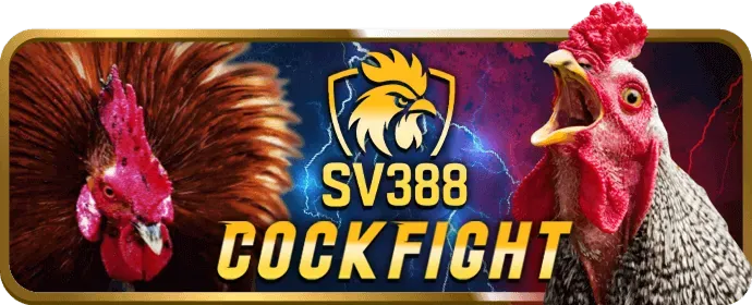 Hotline Hỗ Trợ mk88 code
